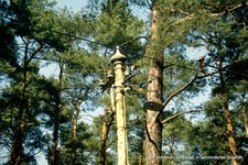 DIA hist. Strommast Straßenbahn Woltersdorf gerahmt A-N2-57