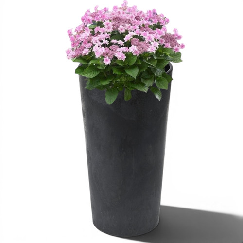 Blumenkübel schwarz - blumenkübel,