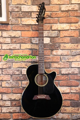 Takamine 1993 106 - takamine,