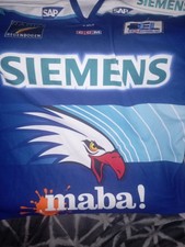 Adler Mannheim Eishockey