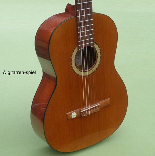 Konzert gitarre pro natura - 4/4,