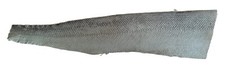 Lachsleder