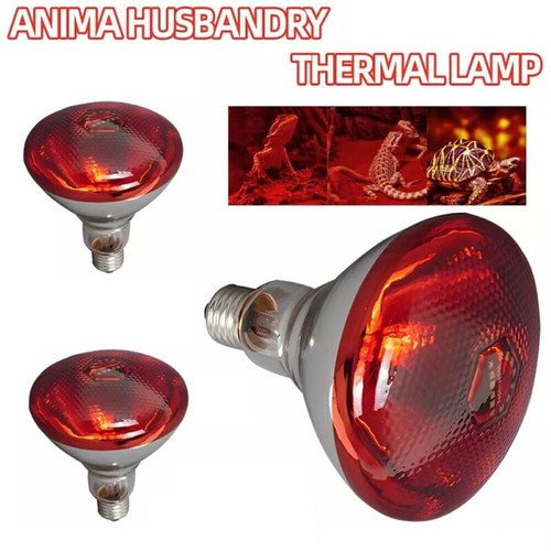 250w infrarotlampe - 1/2/4x,
