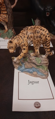 Wow jaguar - wow!,