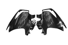 Carbon Seitenverkleidung für