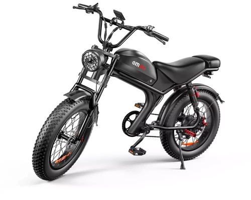 Elektrofahrrad 1000w 48v 20ah - elektrofahrrad,
