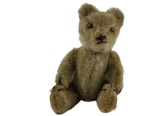 Alter sammler teddy bär - sammler,