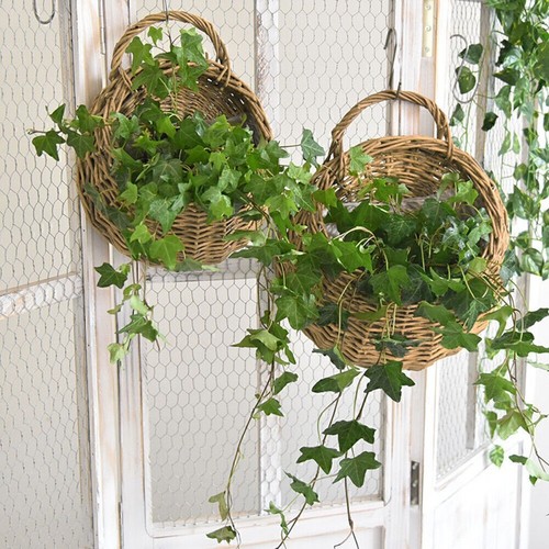 Blumentopf wandhalterung - blumentopf,,