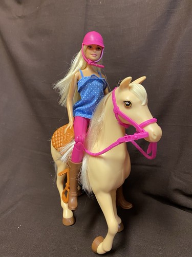 Barbie puppen set reiterin mit - barbie,