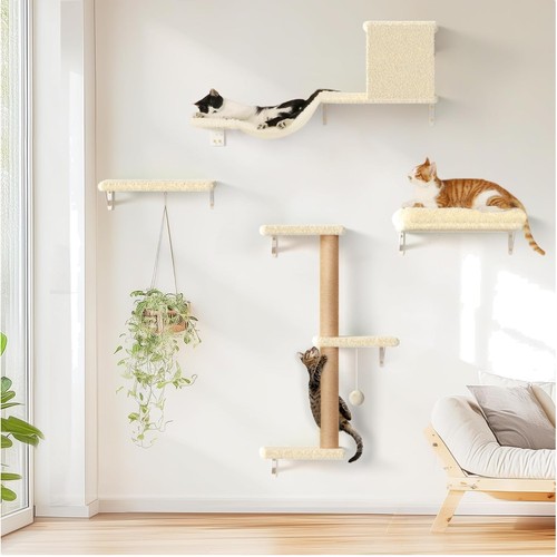 Katzen kletterwand set - katzen,