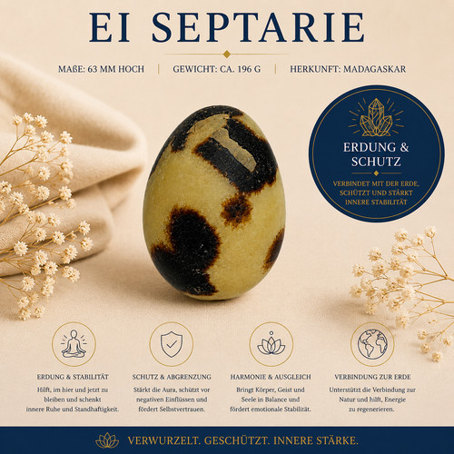 Septarien 196g madagaskar - septarien,
