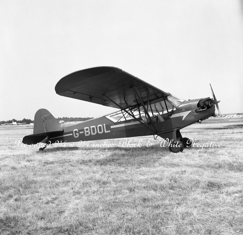 Piper grasshopper g bdol - grasshopper, g-bdol