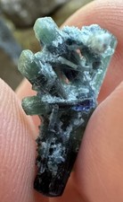 Indigolith Turmalin Kristall Edelstein (Pakistan) für Mineralien Sammlung
