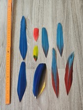 9 x bunte 💙💛💚❤️ Vogelfeder Papageienfeder Feder Papagei basteln mit MAKEL!