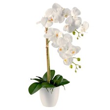 Kunstblume Phalaenopsis, Orchidee im Topf, 2 Stiele, ca. 60cm, REAL TOUCH, Weiß