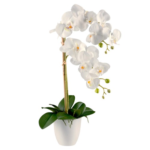 Kunstblume phalaenopsis - kunstblume,