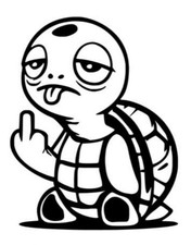 1x Schildkröte Lustig Auto