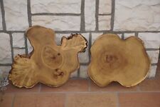 2 Stück Baumscheibe