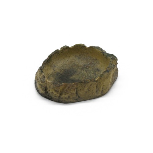 Terrarium reptilien schale - terrarium,