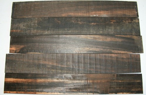 Pale moon ebenholz griffbrett - moon,