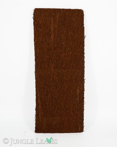 Xaxim baumfarn platte - /,