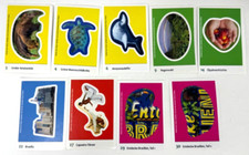 Edeka - Entdecke Brasilien -