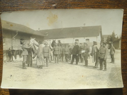 Postkarte weltkrieg pferde - postkarte,