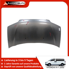 🇩🇪 HAUBE ➤ HYUNDAI H1