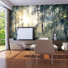 Wald Sonne Landschaft Natur