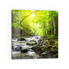 DEQORI Küchenrückwand Glas 'Steiniges Flussbett' Spritzschutz Rückwand, v. Gr.