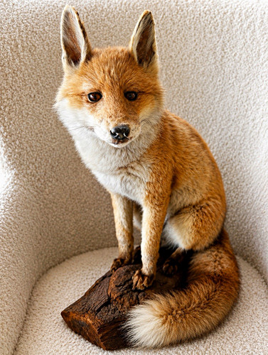 Fuchs dekofigur tierfigur - fuchs, dekofigur/tierfigur