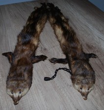 Pelzkragen Fellkragen Wiesel Nerz Frettchen Marder antik vintage Echtfell