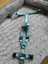 Annyx Geschirr Gr. XXS