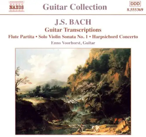 Enno voorhorst guitar - enno,