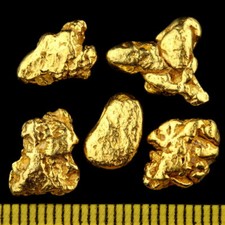 Goldnuggets aus Alaska +