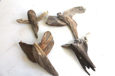 Schwemmholz Treibholz  8 Hölzer Engel Flügel L 17-25 cm Ideenwerkstatt BodenSEE