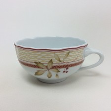 HUTSCHENREUTHER Medley NEW ENGLAND Teetasse