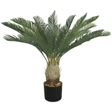 Künstliche Pflanze Cycas