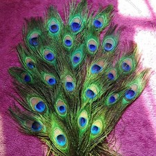 10x Pfauenfedern Schwanzfedern