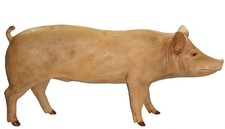 Schwein Lebensgroß Sau Garten