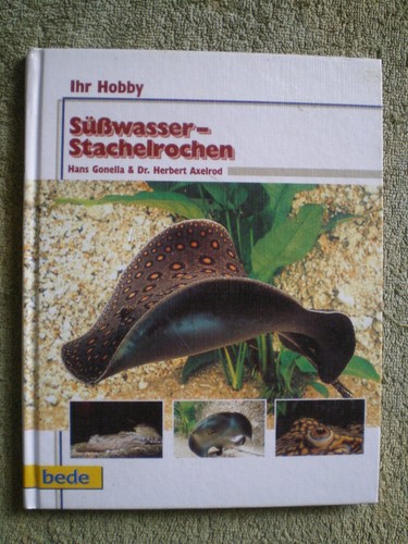 Süßwasser stachelrochen - stachelrochen,