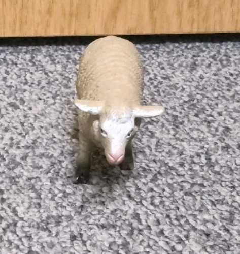 Schleich schaf höhe - schleich, 3+