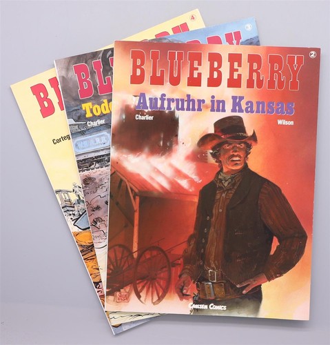 Blueberry auswahl auflage - auswahl, 1.