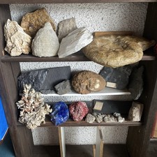 Mineralien Versteinerungen Fossilien Konvolut mit Bergkristallen etc