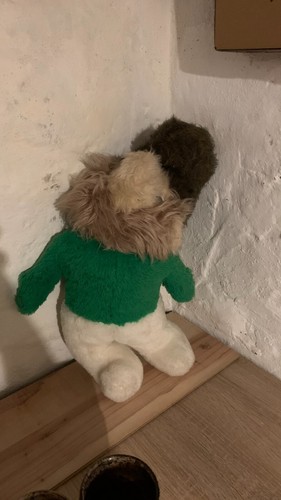 Seltenes ddr plüschtier - seltenes, –