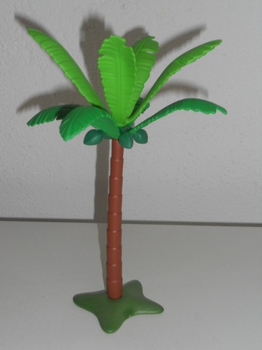 Palme kokosnusspalme kokosnuss - palme,