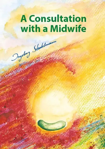 Consultation with midwife - consultation,