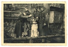 Orig. Foto RAD-Abteilung 8/154 Busenberg Saar Ärmelband Hund ANNWEILER Trifels