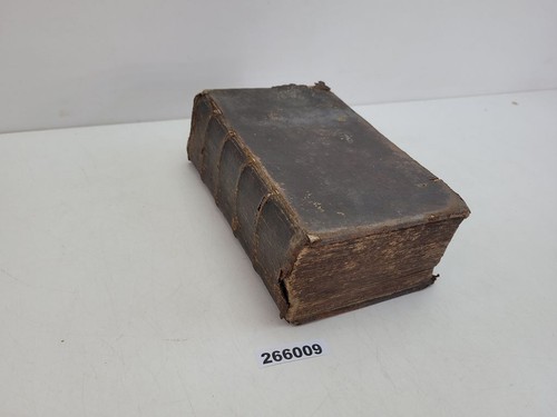 Bibel heilige schrift - bibel, dr