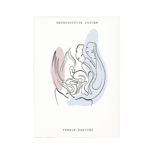 1pc minimalistische bunte - 1pc,